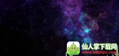 星协2025下载安装 星协2025下载安装