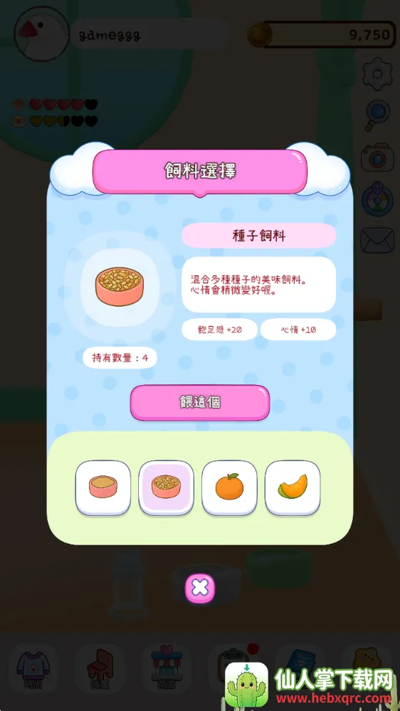 ��������(����������Ϸ)