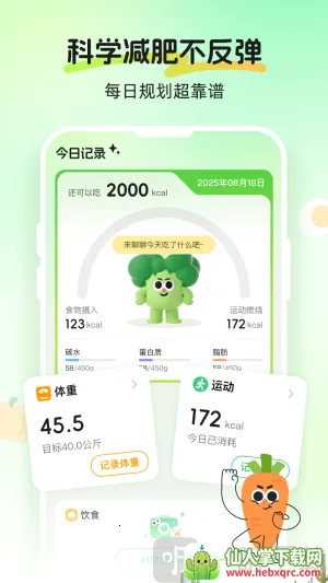 Calmomo2026���°汾