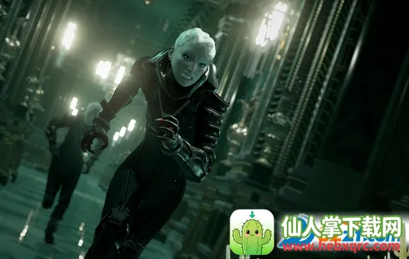 echo2026�ٷ�����