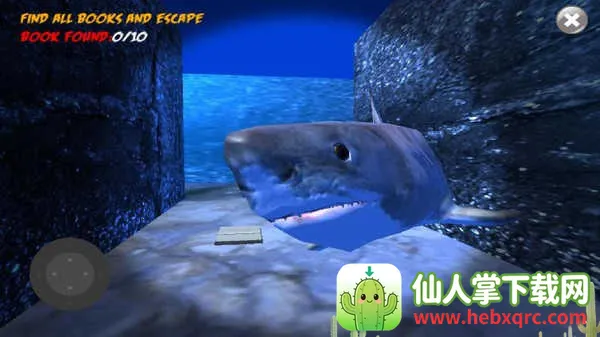 鲨鱼的恐怖袭击 鲨鱼的恐怖袭击