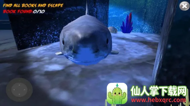 鲨鱼的恐怖袭击 鲨鱼的恐怖袭击