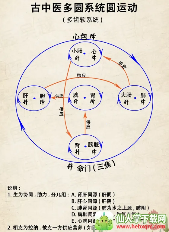 �ھ�����2026�ٷ�����