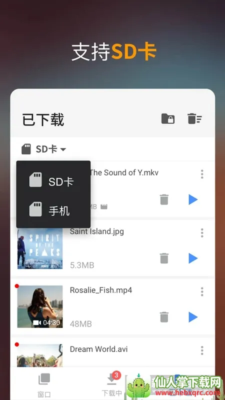 Video Downloader2026�ٷ�����