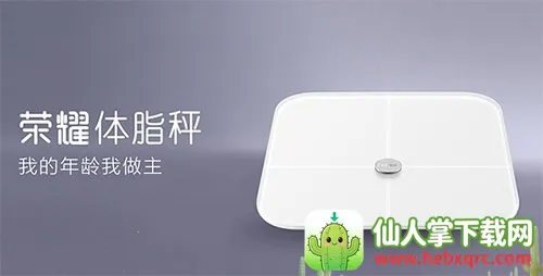 ��ҫ��֬��2026�ٷ�����