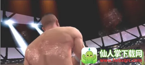 �µ�����ά��˹���°�