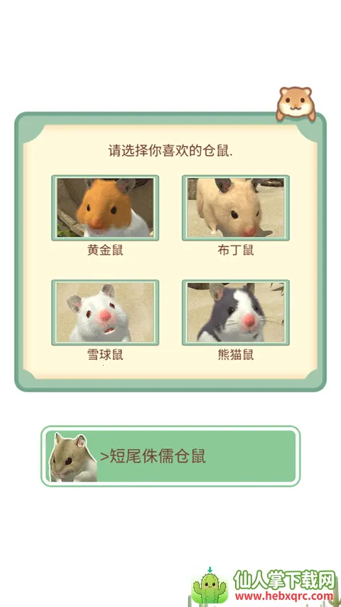 我的仓鼠 我的仓鼠