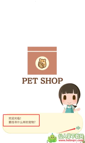 我的仓鼠 我的仓鼠