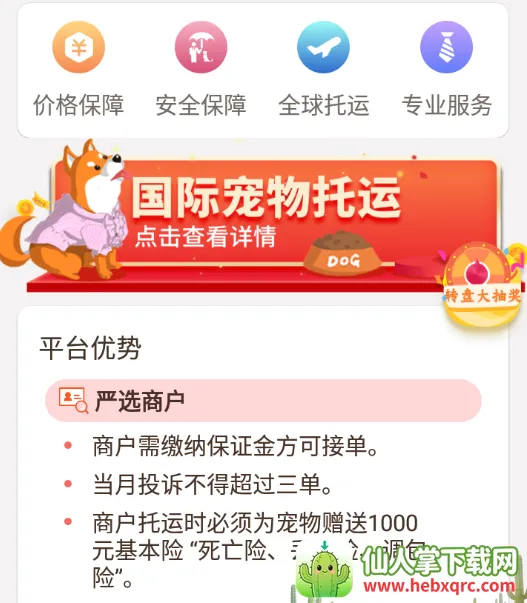 ��������pet