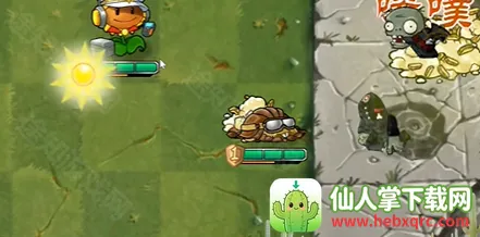 ֲ���ս��ʬ����