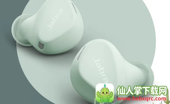 �ݲ�����������