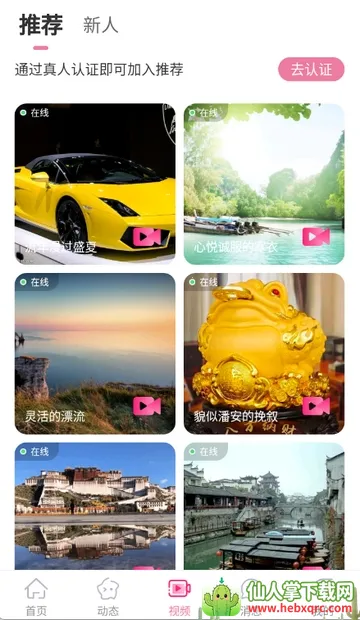 �����(�罻��������)