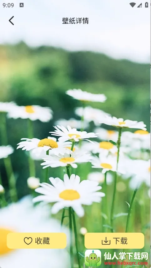 �Ⱦޱ�ֽ(��ֽ���Ի�����)