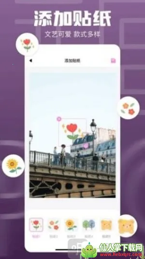 1DM(�����������)