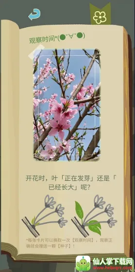 老农种树星座冬季