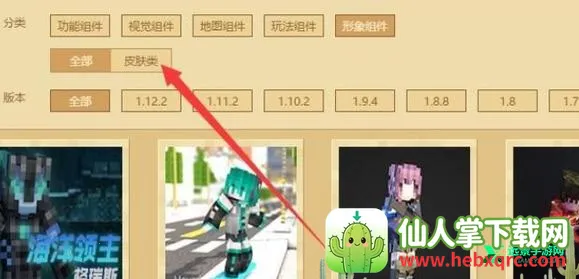 skinseedƤ���༭��