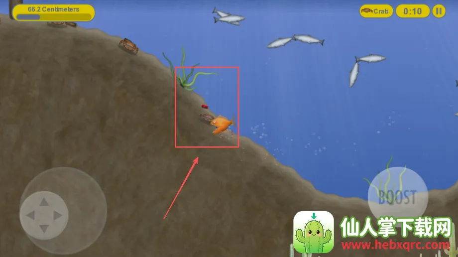 美味海洋鲨鱼版下载安装 美味海洋鲨鱼版下载安装