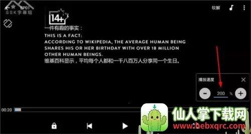 mx������רҵ��