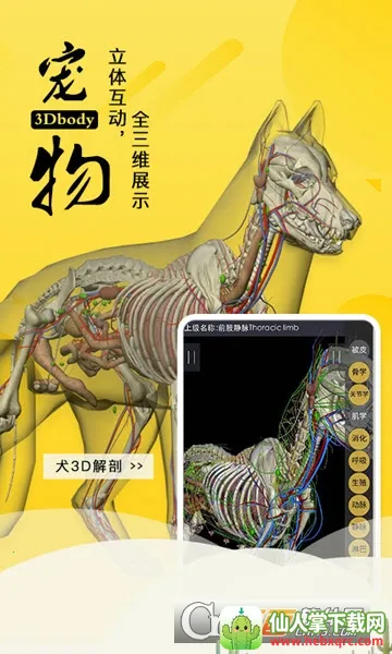 3dbody�����ƽ��