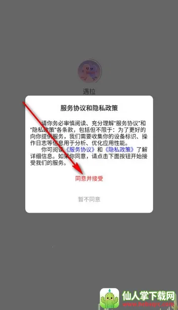 ����(����Ⱥ���罻)