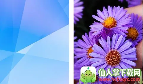 �ᰮ������ֽ��׿���ֻ���