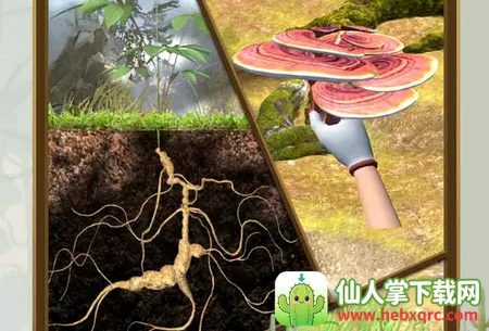 ������������ƽ��