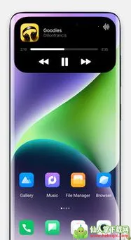 Dynamic Island iOS(�鶯������)
