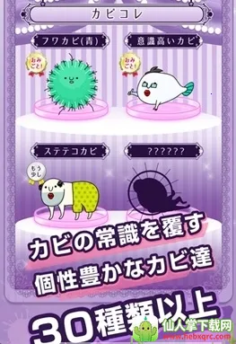 �۲��ݵļ�(����װ��С��Ϸ)