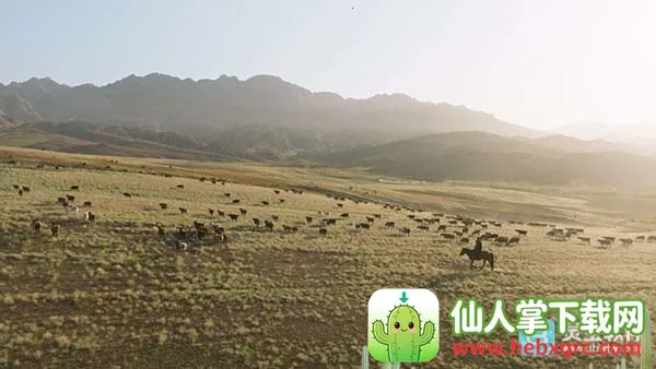 ȫ�ۺ�TVʹ�ý̳�7