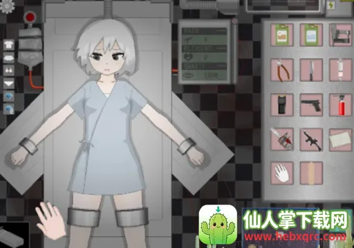 ��Ű2026���°汾