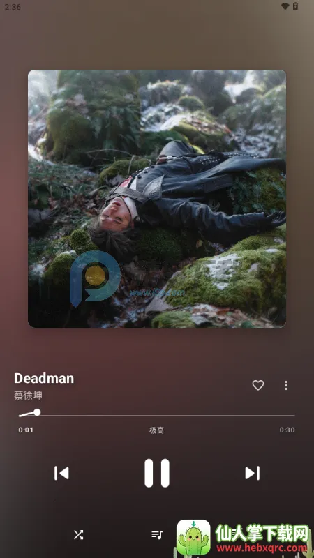 梅花音乐 梅花音乐