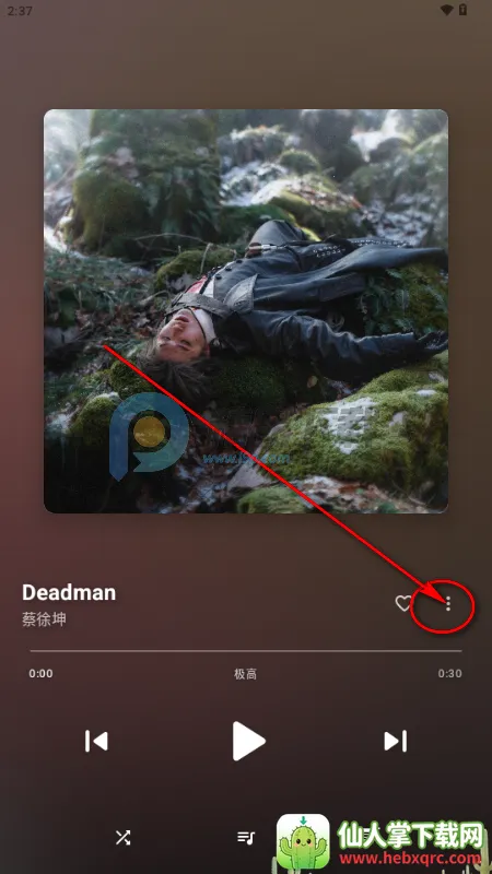梅花音乐 梅花音乐