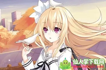 视频助手安卓版手机版 视频助手安卓版手机版