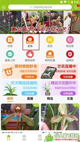 ����������(��������ƽ̨)