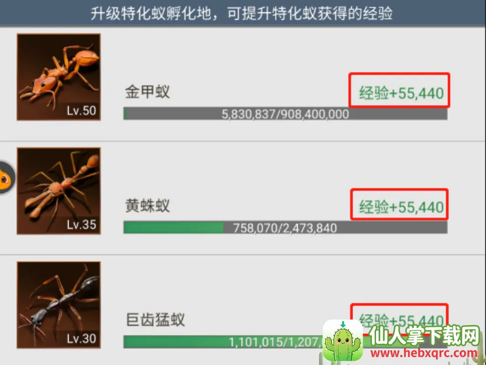 The Ants2026�ٷ����°汾