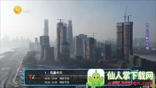 �͵�TV����2026���°汾