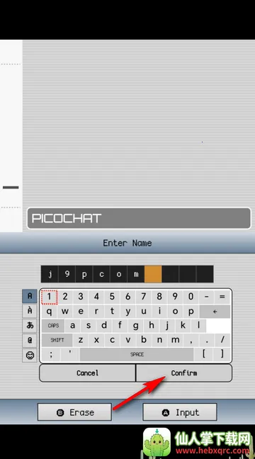 PicoChat��������(DS ������������)