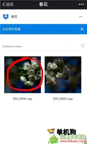dropbox2026最新版本 dropbox2026最新版本