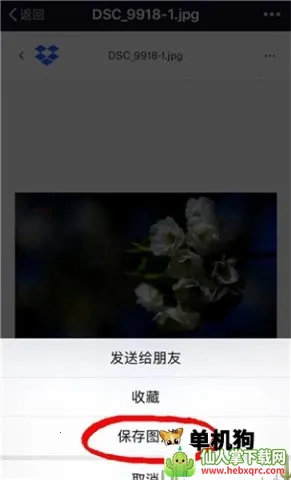 dropbox2026最新版本 dropbox2026最新版本