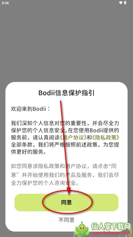 Bodii��������