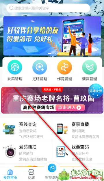 爱鸽者2026最新版本 爱鸽者2026最新版本