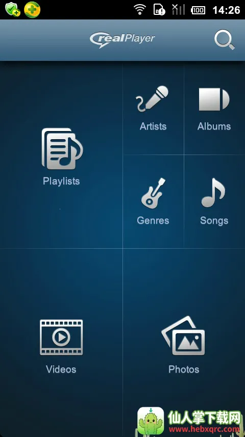 realplayer������