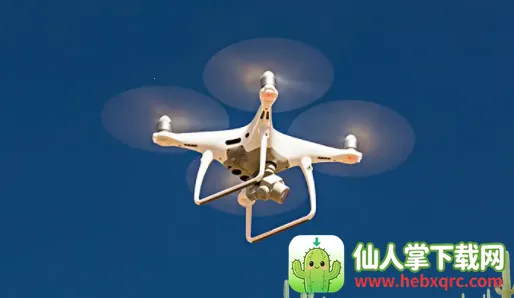 ���̳�(�����˻�����)