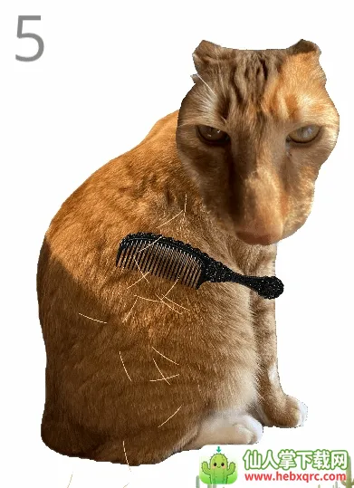 ��è��ë(��è��ë��Ϸ)