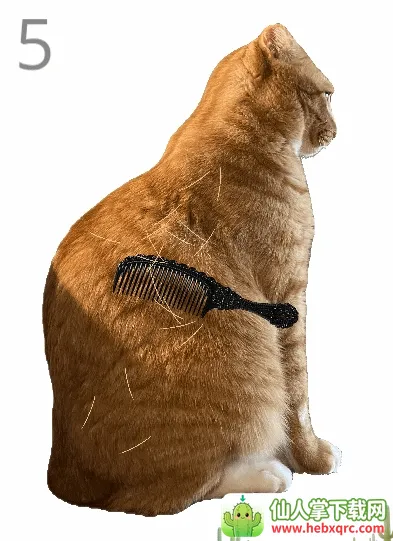 ��è��ë(��è��ë��Ϸ)
