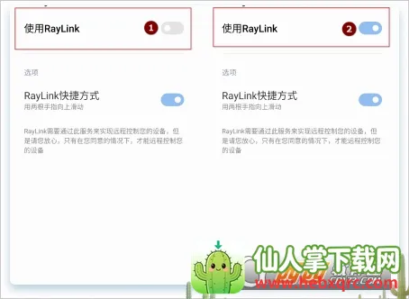 RayLinkԶ�̿���2026�ٷ�����