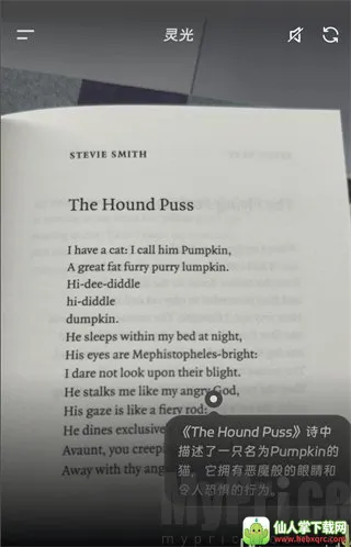 ���AI�������������ֻ���