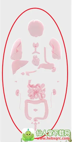 生命life汉化(医学模拟游戏) 生命life汉化(医学模拟游戏)