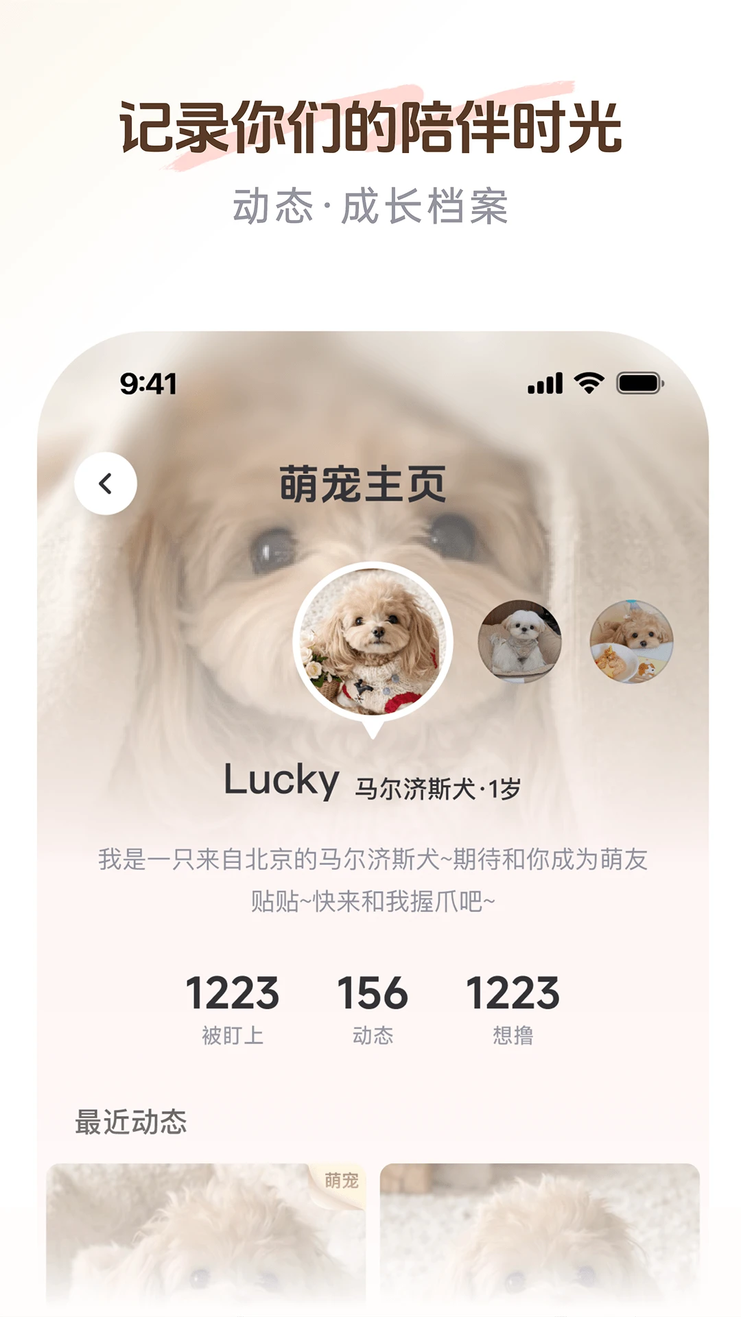 PetSpace(�ȳ��罻ƽ̨)